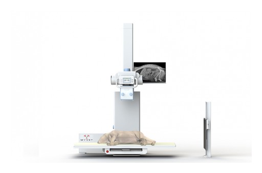 MyVet Imaging Table Lowered Position
