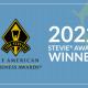 MicroHealth LLC Honored as Silver Stevie® Award Winner in 2022 American Business Awards®