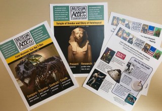 Museum Access Classroom Series and Fun Sheets