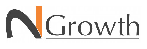 Global Executive Search and Leadership Advisory Firm N2Growth Launches New Board Effectiveness Solution