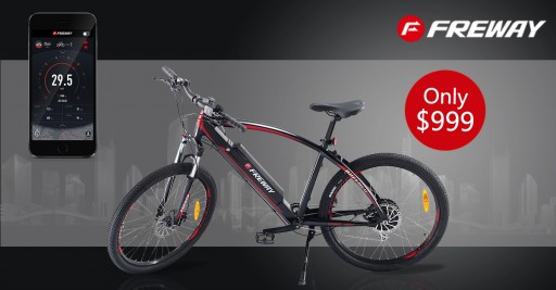 Freway buffalo ebike store price