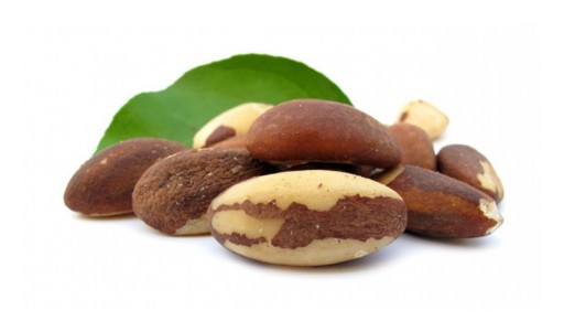 Nutty for Brazil Nuts? You Should Be!