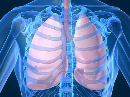 Borio Chiropractic Health Center Discusses How Lung Function Can Improve With Chiropractic Care