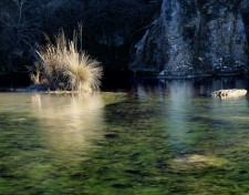 Winter Grasses in the Frio River on the Krause Ranch