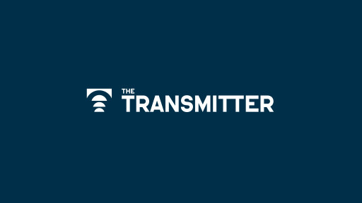 New Neuroscience Publication, The Transmitter, Will Inform and Connect the Field