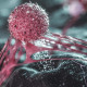 CytoImmune Therapeutics Announces Publication Demonstrating Platelet-Derived Growth Factor D Signaling Activates Natural Killer (NK) Cells and Enhances NK Cell Survival