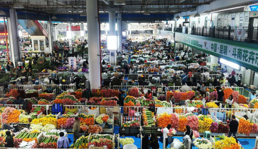 China's Top Flower Market Kunming Sees Robust Trade Growth
