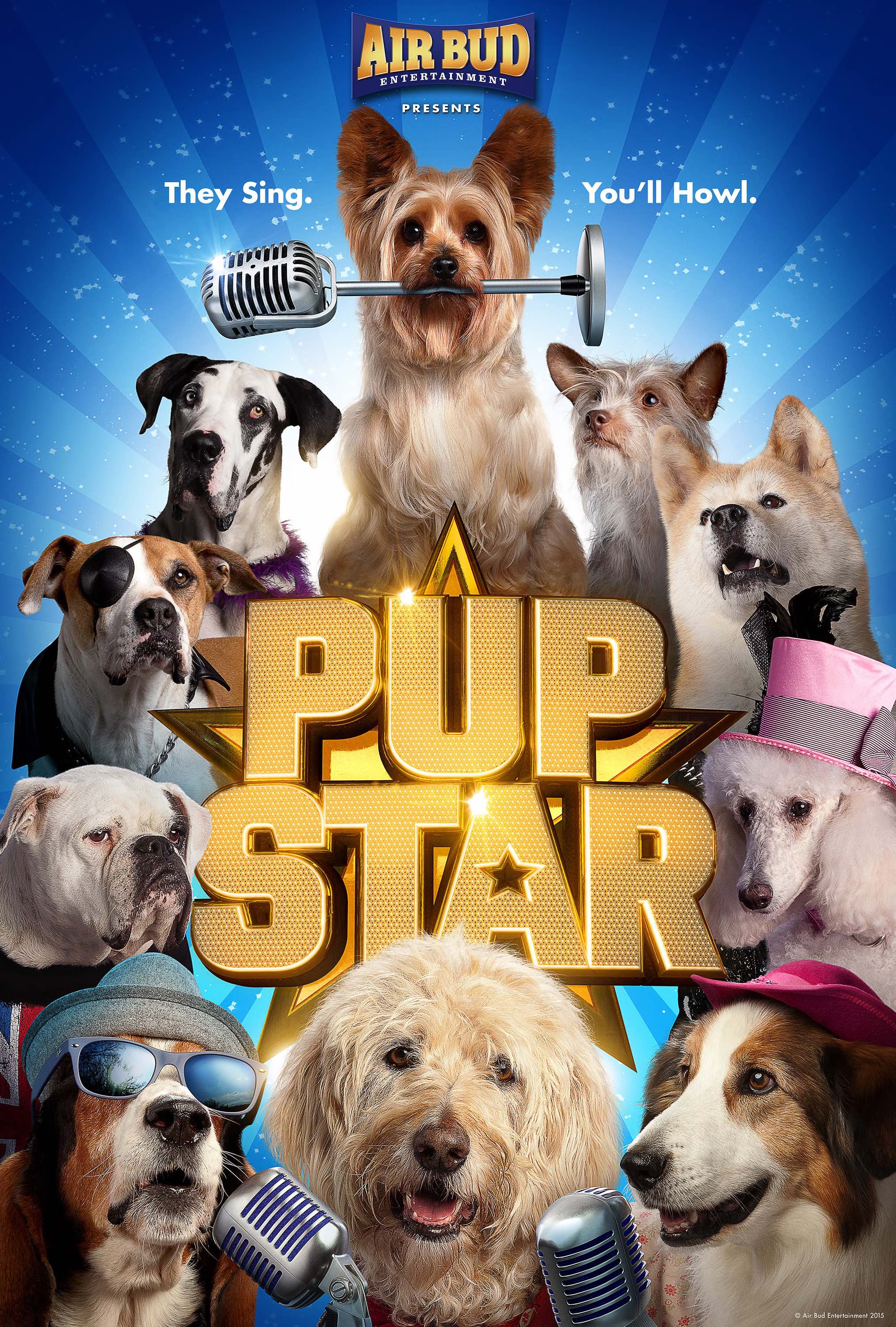 AIR BUD ENTERTAINMENT Announces the Broadcast Premiere of 'PUP STAR' -  Family Adventure Debuts on Disney Channel Friday, February 17, 8:30 p.m.  ET/PT All-New Franchise Puts a Dog-Filled Spin on America's Popular