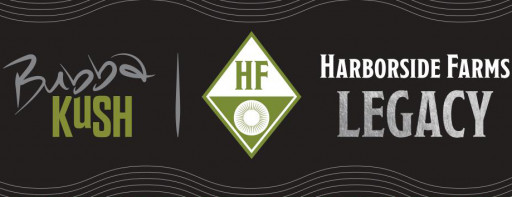 BK Brand Wellness (Bubba Kush) Partners With Harborside to Grow, Co-Package and Distribute Legacy Strain, SFV OG