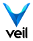 The Veil Project 