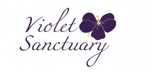 Violet Sanctuary Announces Refreshing New Name and Spectacular Product Line
