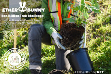 Ether Bunny NFT - One Million Tree Challenge