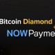 NOWPayments Adds Bitcoin Diamond (BCD) to Supported Currencies