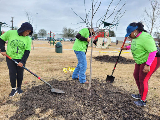 Volunteers Planted 50 New Trees at Willoughby Park