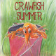 Author Robert Bogany's New Book 'Crawfish Summer' Embodies a Precocious Child With a Southern Flair, Following the Young Boy as He Goes Crawfish Fishing