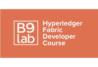 Hyperledger Fabric Developer Course