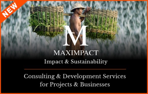 Capacity Building for Projects and Businesses:  Do You Have What You Need to Succeed?