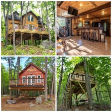 Three Incredible Live-In Treehouses