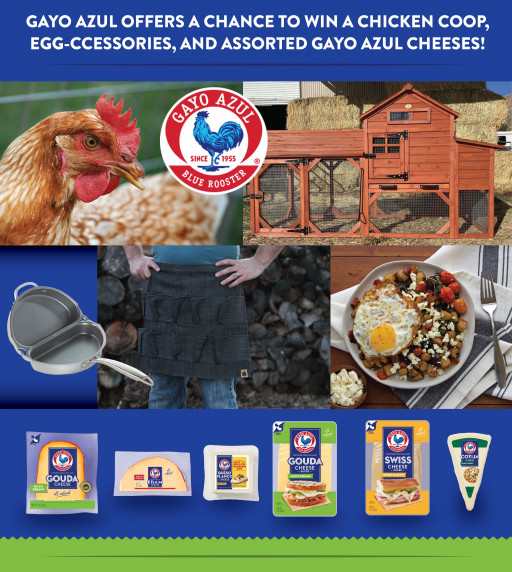 This Easter Season Celebrate With Gayo Azul® Cheese and Enter to Win a Chicken Coop