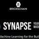 Brickschain Launches AI and Machine Learning Platform Synapse at Autodesk University