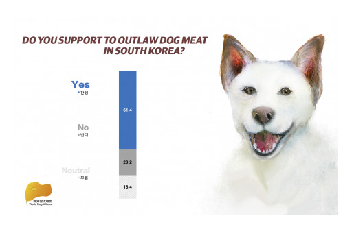 World Dog Alliance: 6 Out of 10 South Koreans Support Banning Dog Meat