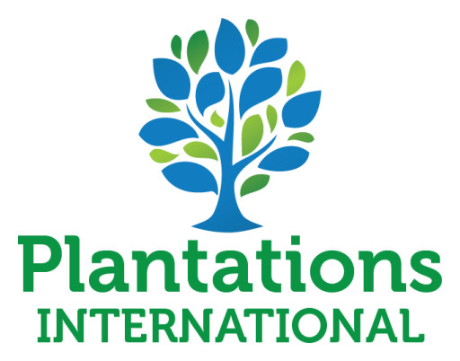 Plantations International Mango Tree Audit Completed