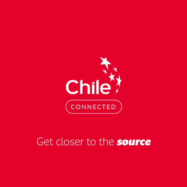 ProChile US, Friday, October 23, 2020, Press release picture