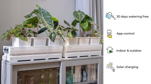 LetPot Announces Launch of Modular Planter System for Automated Indoor Gardening