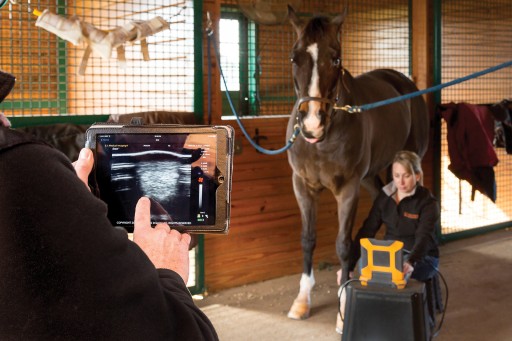 E.I. Medical Imaging Introduces EVOStream™ for Live Streaming of Ultrasound Images