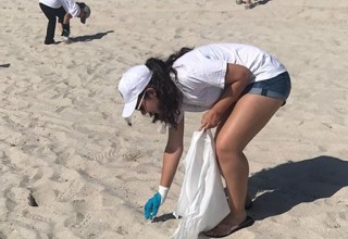 Keeping the beach clean
