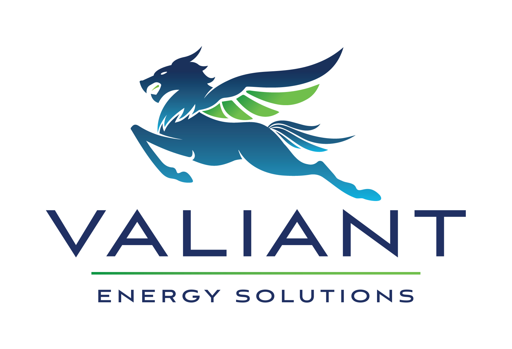 Valiant Energy Solutions Launches New Website | Newswire