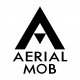 Aerial MOB, LLC