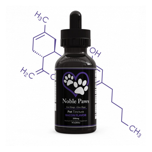 Noble Paws CBD Joins Forces With Leading Pet Diabetes Brand