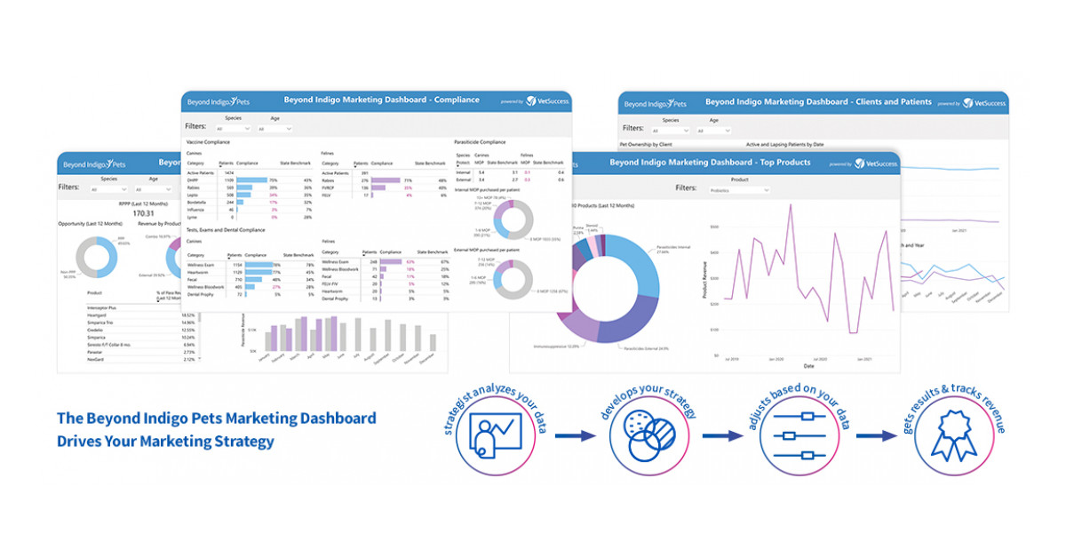 Beyond Indigo Pets Launches Innovative Data-Driven Marketing Dashboard for Veterinary Industry