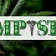 HempStaff Gets Accredited as an MA Responsible Vendor Trainer for the Cannabis Industry