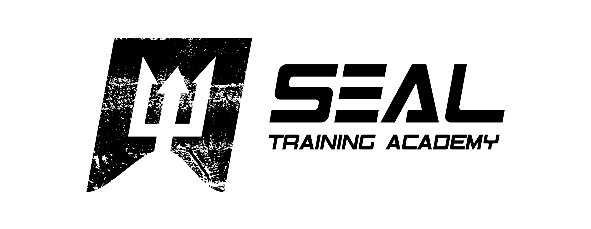 SEAL Training Academy Releases Authentic Navy SEAL Workout with