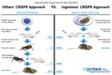 Breakthrough Crispr/Cas9 Rat Model Technology