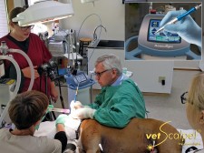 David Duclos, DVM, performing VetScalpel laser surgery