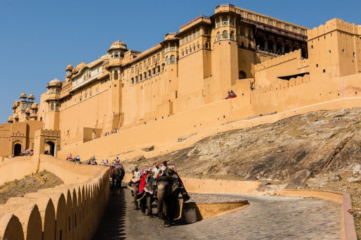 India is Opening Up for Travelers and Indus Travels is Offering Incredible Deals