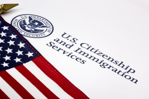 Platinum Immigration Services on Amnesty or Deportation