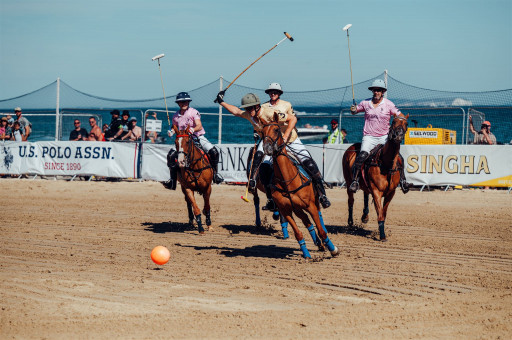 polo vs polo assassin