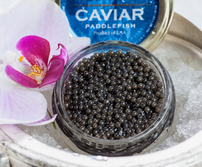 Paddlefish caviar | Company Newsroom of caviar.us