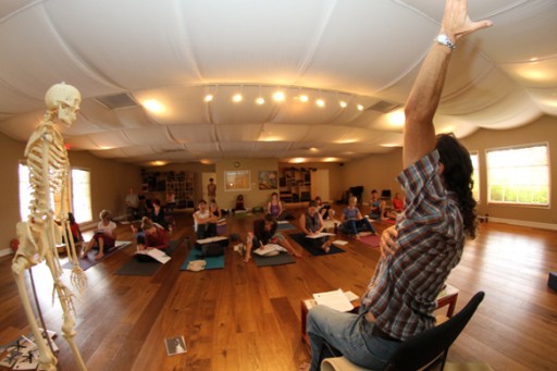 Yoga Teachers Can Master Their Teaching Skills With Master Teacher Brian Dorfmans Workshops | Encinitas/San Diego