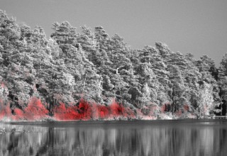 A shallow lake scene reveals excess methane emission (red) when imaged with Telops' Hyper-Cam. Reprinted by permission from Macmillan Publishers Ltd: Nature Climate Change, copyright 2015. Credit: Magnus Gålfalk/Linköping University.