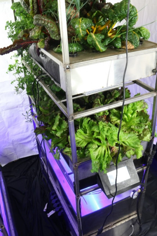 Eden Grow Systems Offers Solution to Food Supply Chain Disruptions