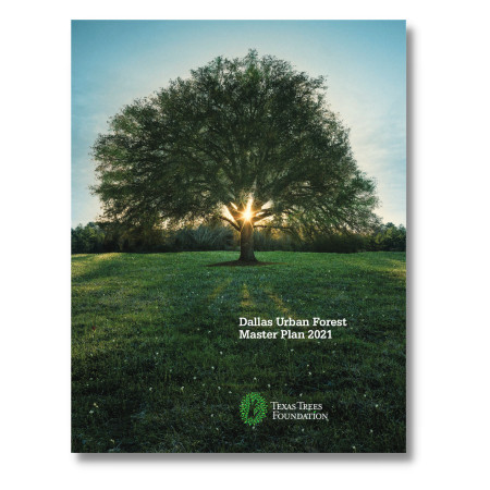 Dallas Urban Forest Master Plan