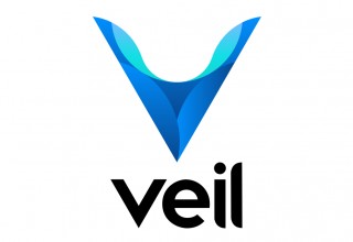 The Veil Project Logo