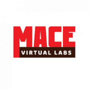 What is Full-Dive Virtual Reality? — MACE Virtual Labs