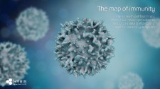 Hyris T-Cell Test finally allows healthcare specialists to depict SARS-CoV-2 specific immunity