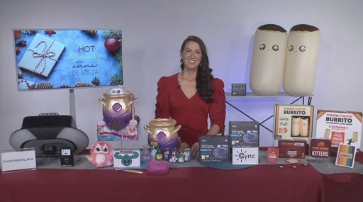 Anna De Souza Shares Shopping Strategies for Hot Holiday Gifts on Tips on TV
